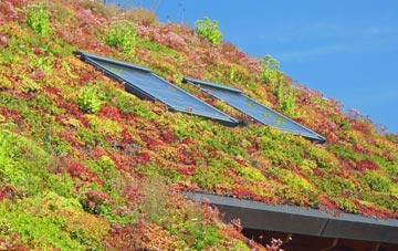 Broad Clough living roof systems