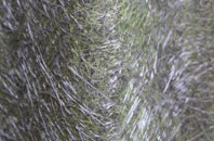 Broad Clough fibreglass roof work